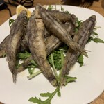 マシガネータ - 頭、尻尾、骨まで全て食せるカリふわとろけるめひかりのめちゃ旨フリット◎