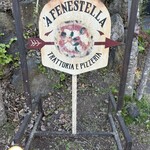 A Fenestella