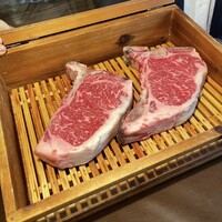 アカミヤコウシ - 