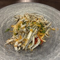 オッジ ダルマット 西麻布店 - 