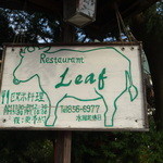 Leaf - 