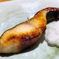 かな吉 tomix 92197 キハ66 67 復活国鉄色 2両セット 室内灯付き tomix