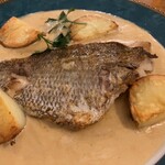 キャバーン - 真鯛のグリル