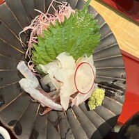 対馬のどぐろとイカ活き造り 博多 魚蔵 都ホテル店 - 