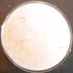 ル・ジュー・ドゥ・ラシエット  - ランチ7皿コース 5040円 のトンカ豆のブランマンジェ