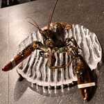 ベルソーニョ - 