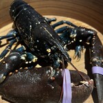 リヴィエール キャレ - 