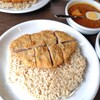 松本メーヤウ - ポークカツ・日本風出汁グリーンカレー・インド風トマトチキンカレー