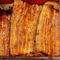 割烹蒲焼 横浜八十八 吉田町店 - 鰻　アップ