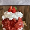 樹々。 - 