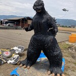 肉と米 - 少し大きいゴジラもいたwithモスラ