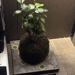 京都肉割烹 みや田 - 