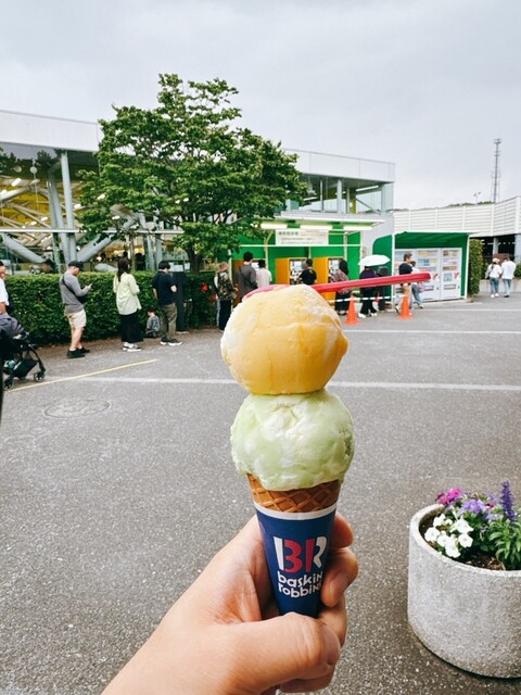 サーティワンアイスクリーム よこはま動物園ズーラシア店 - 中山