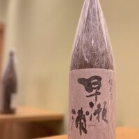 【福井】早瀬浦  純米 / グラス