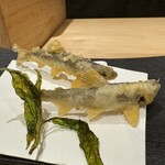 鮨 こん藤 - 稚鮎と蓼の葉の天ぷら