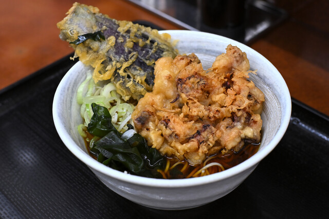 Minogasa Kandaizumicho Ten