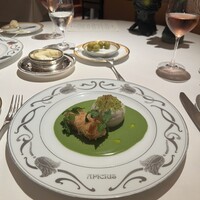 アピシウス -  アピシウス -