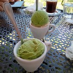 フレンチ ブルドッグ - 