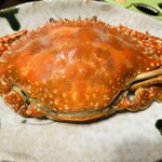 角上魚類 - 渡り蟹メスψ(｀∇´)ψ