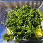 角上魚類 - 海ぶどう^ - ^