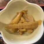 サンタローサ - にょきにょき