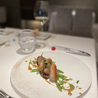 ジョンティ アッシュ - 