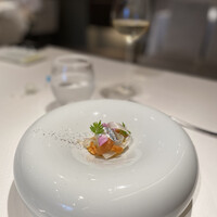 ジョンティ アッシュ - 