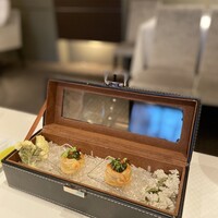 ジョンティ アッシュ - 