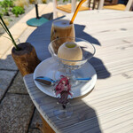 Koma - 料理写真:アイス＆ラテ～☆