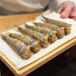 恵比寿 鮨 ふじまさ - 