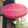 アントニオ 南青山本店