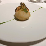 レフェルヴェソンス - 