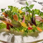 レフェルヴェソンス - 