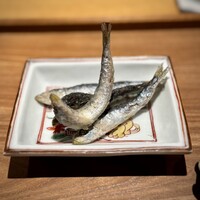 日本料理FUJI - 小川港の活〆鰯。
                    こちらも同じく身質のふんわり感と、旨みのある肝が際立ちます♪
                    無限にいけちゃうヤツです(^^)