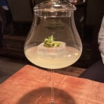 ベンフィディック - 202506  森