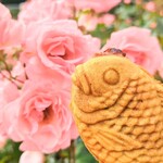 たい焼き 慎之介 - 天然たい焼き