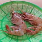 とれたて館 - 