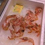 とれたて館 - 
