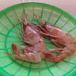 とれたて館 - 