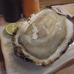 よってけふうちゃん - 岩牡蠣