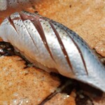 鮨 福原 - コハダ　下拵えバッチリ　身自体の食感と柔らかくも噛みしめ滲みいづる上品に広がる旨み　う〜堪らんねぇ(๑´ڡ`๑)