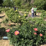 プラナス - ぼたん園