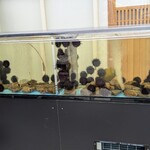 うに むらかみ - 