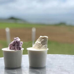 ミルミル本舗 - 