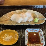 鎌倉 北じま - オオモンハタ