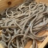 粗挽き蕎麦 トキ