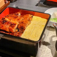 炭焼きうなぎ・かしわ 登河 - 