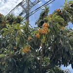 手打ちうどん 自遊席 - 