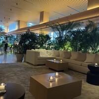 The Blue Room - 