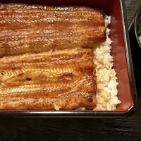 日本橋いづもや - 黄金色のうなぎ、照りが美しく焦げはほぼない